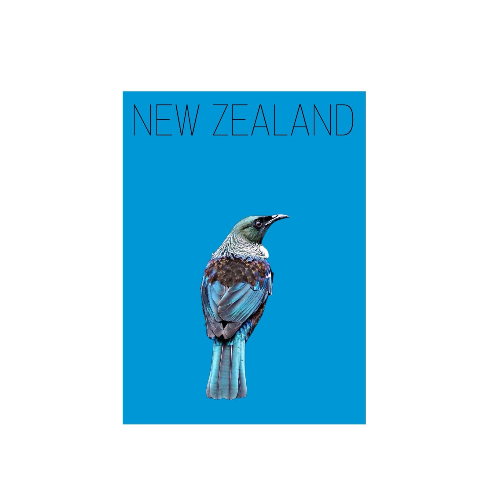 NEW ZELAND